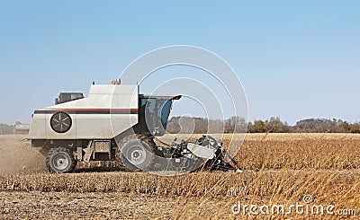 Combining Soybeans Stock Photo