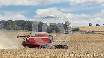 Combining Soybeans Stock Photo