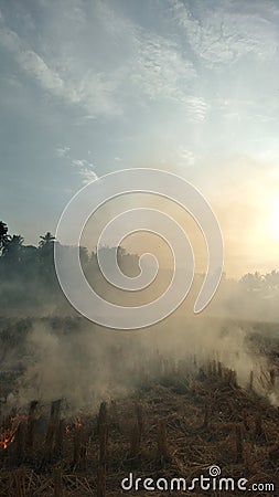 combustion that causes pollution Stock Photo