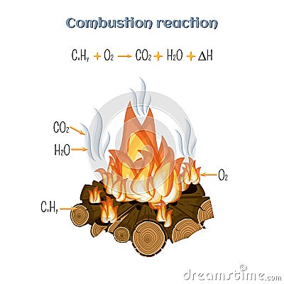 Combustion reaction - wood burning at fire camp. Vector Illustration