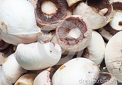 Fresh mushrooms ready for preparation Stock Photo