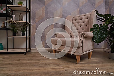 Comfortable arm chair in interior living room with pastel wall and wooden oak floor Stock Photo
