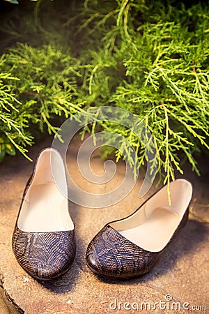 Comfortable ballet shoes, snakeskin, ladies shoes in nature Stock Photo