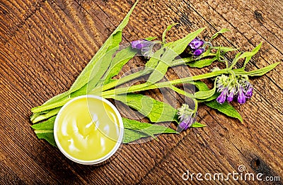 Comfrey herb - Symphytum officinale Stock Photo