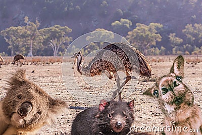 Comic collage of Australian native animals. Stock Photo