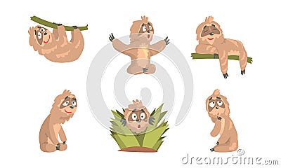 Comic Sloth Hanging in the Tree and Sitting Vector Set Vector Illustration