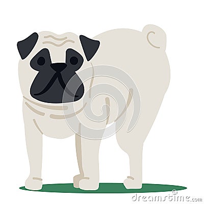 Comical Pug Dog Isolated on White Background. Funny Pet with with Humorous Expression And Playful Pose Illustration Vector Illustration