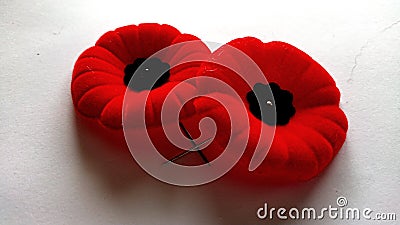 Commemorative world war 1 2 remembrance day Poppies Canada Stock Photo