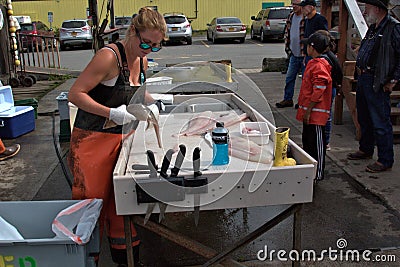 Commercial business in Homer Alaska cleaning fish Editorial Stock Photo