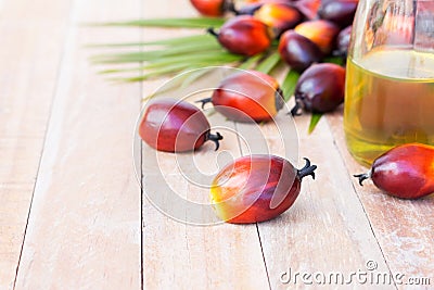Commercial palm oil cultivation. Since palm oil contains more saturated fats its use in food. Oil from Elaeis guineensis is also Stock Photo