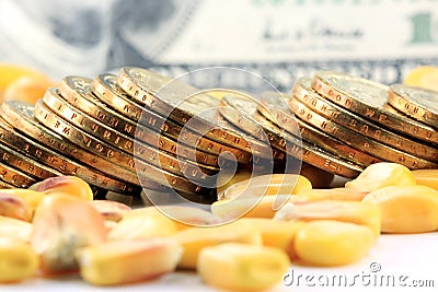 Commodity Trading Concept - Gold Coins US Currency with Yellow Corn Stock Photo