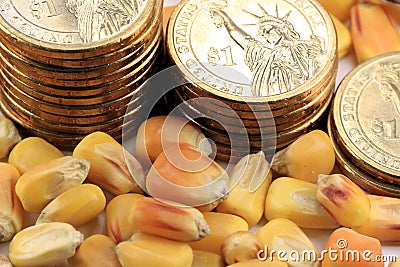 Commodity Trading Concept - Gold Coins US Currency with Yellow Corn Stock Photo