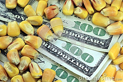 Commodity Trading Concept - US Currency One Hundred Dollar Bill with Yellow Corn Stock Photo