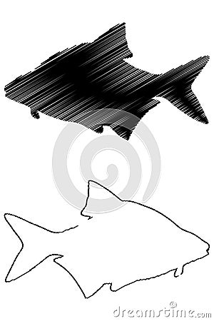 Common bream silhouette vector Vector Illustration