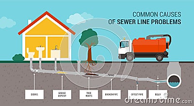 Common causes of sewer line problems Vector Illustration