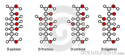Common D-ketohexose sugars: psicose, fructose, sorbose, tagatose. Fischer-like projections. Vector Illustration