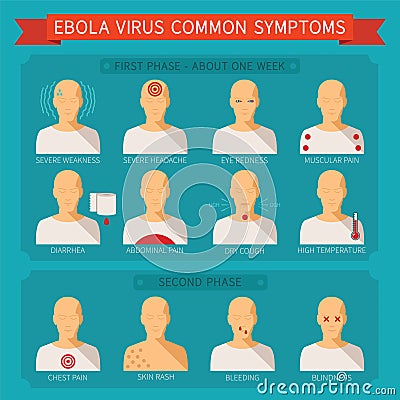 Common ebola virus symptoms vector infographic Vector Illustration