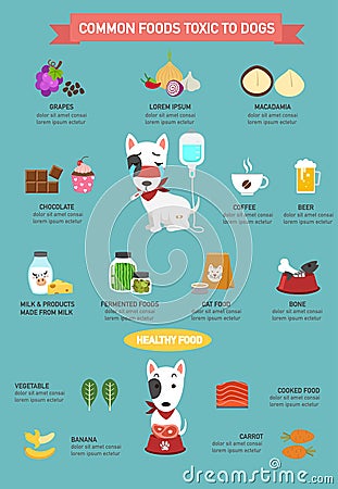 Common foods toxic to dogs infographic Vector Illustration