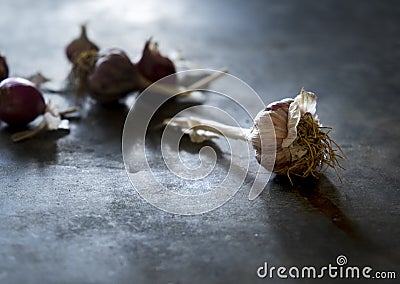 Common Garlic, Allium ,Garlic, onions Stock Photo