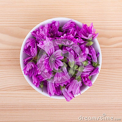 Common mallow Stock Photo