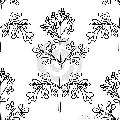 common rue, seamless b-w ww dot herb Vector Illustration