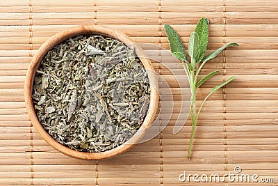 Common Sage Stock Photo