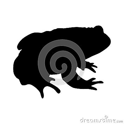 Common Toad Bufo Bufo Silhouette Vector Found In Map Of Europe Vector Illustration