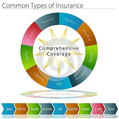 Common Types of Insurance Vector Illustration
