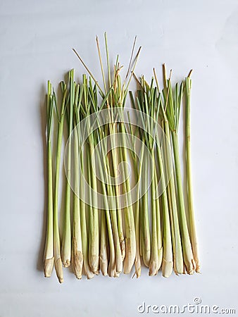 Cymbopogon citratus, commonly known as lemon grass, also known as Serai or Sereh in Indonesia. Stock Photo