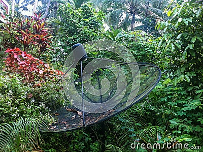 Communication technologies in a hard-to-reach place. A parabolic satellite dish in the jungle. Stock Photo