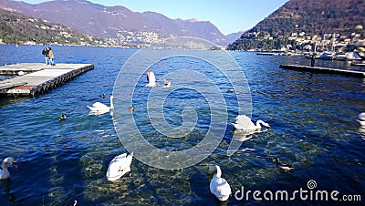 Como lake, Italy, Great view on lake and mountain Editorial Stock Photo