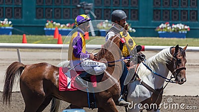 Companion Pony and Jockey Editorial Stock Photo