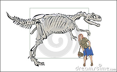 Compare man with a skeleton of a dinosaur. Vector Illustration