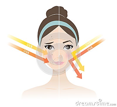Comparison of damaged and healthy skin vector illustration on white background. Cartoon Illustration