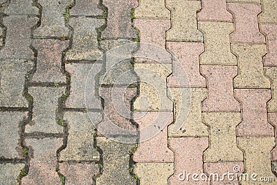 Comparison pavement cleaning moss and lichen before after Stock Photo