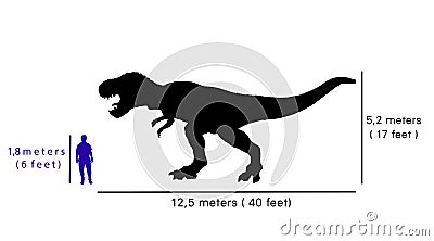 Comparison size between tyrannosaurus rex and human Stock Photo