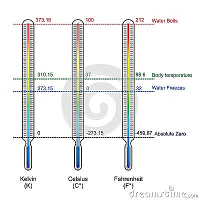 Comparison of three temperature scales vector Vector Illustration