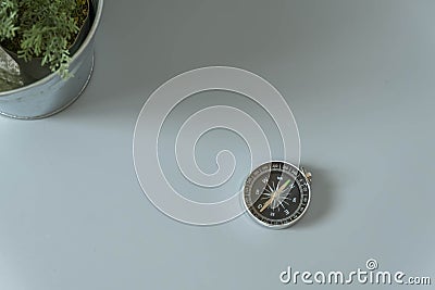 Compass with green plant in white background Stock Photo