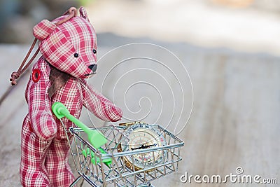 Compass in shopping cart with bear toy Stock Photo