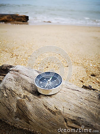 A compass showing the direction point to north on an old tree that washed up during the low tide., Stock Photo