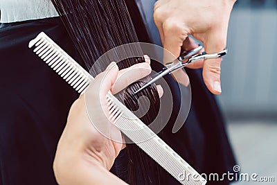 Hairdresser cutting and styling hair of woman in her shop Stock Photo