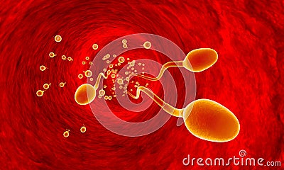 Competing spermatozoa. Movement of spermatozoa through the fallopian tubes. Sperm, fertilization. 3D illustration. Cartoon Illustration
