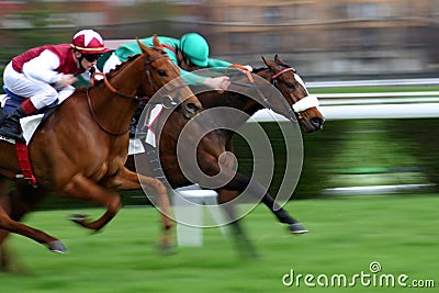Competition between two horses Stock Photo