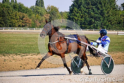 Competitions for trotting horse racing Editorial Stock Photo