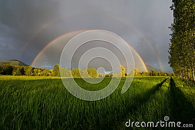 Complete Double Rainbow Stock Photo