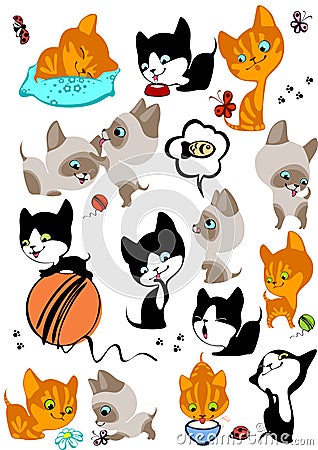 The complete set of different cheerful kittens Vector Illustration