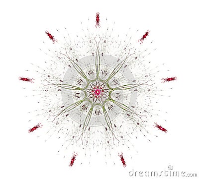 Complex Mandala Flower Stock Photo