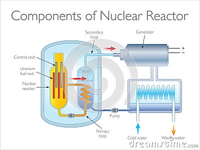 Components of Nuclear Reactor Vector Illustration