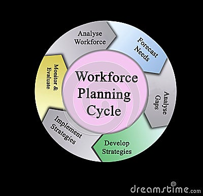 Components of Workforce Planning Cycle Stock Photo