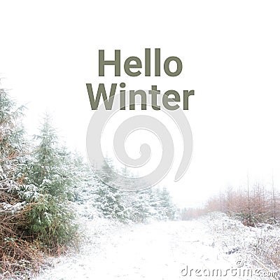Composite of hello winter text over winter scenery Stock Photo